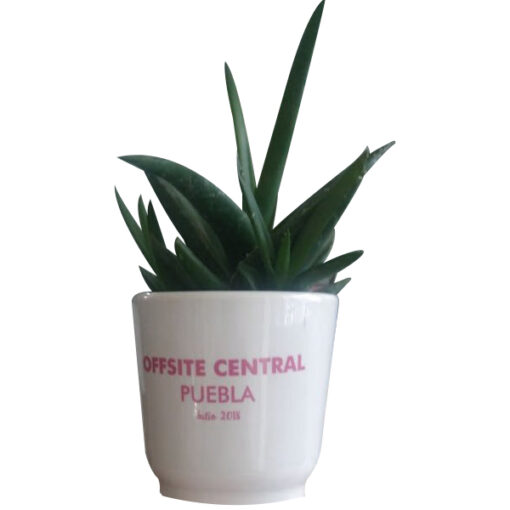 Mod.PCRFA48